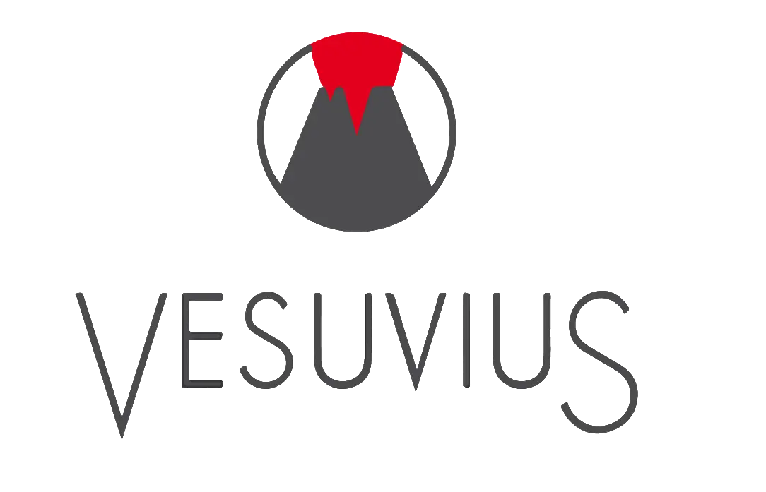 Vesuvius Poland Sp z o.o. logo